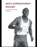 Sport, Professionalism and Pain: Ethnographies of injury and risk