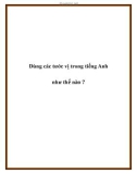 Dùng các tước vị trong tiếng Anh như thế nào ?