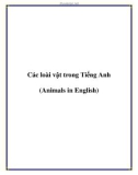 Các loài vật trong Tiếng Anh (Animals in English)