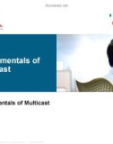 Fundamentals of Multicast