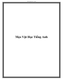 Mẹo Vặt Học Tiếng Anh