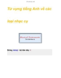 Từ vựng tiếng Anh về các loại nhạc cụ