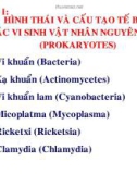 Hình thái và cấu tạo tế bào các vi sinh vật nhân nguyên thủy