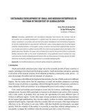 Sustainable development of small and medium enterprises in Vietnam in the context of globalization