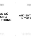 NHẠC CỔ TRONG RẶNG THÔNG