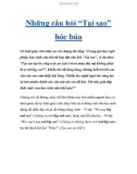 Những câu hỏi 'Tại sao' hóc búa