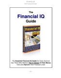 The Financial IQ Guide