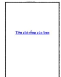 Tôn chỉ sống của bạn