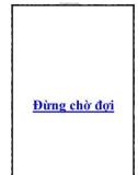 Đừng chờ đợi