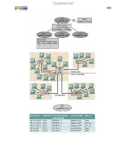 Giáo trình hệ tính CCNA Tập 3 P14