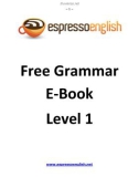 Free Grammar E-Book Level 1