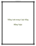 Tiếng Anh trong Cuộc Sống Hằng Ngày