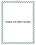 Fragen (Các Kiểu Câu Hỏi)