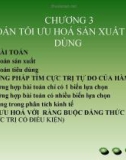 Bài giảng Toán kinh tế - Chương 3: Toán tối ưu hóa sản xuất và tiêu dùng