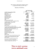 FINANCIAL STATEMENTS AND SUPPLEMENTAL INFORMATION New York City Industrial Development Agency _part2