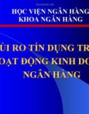 Bài giảng Rủi ro tín dụng trong hoạt động kinh doanh ngân hàng