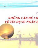 Chương 3 - Những vấn đề cơ bản về tín dụng ngân hàng