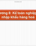 Bài giảng Nguyên lý kế toán - Chương 8: Kế toán nghiệp vụ nhập khẩu hàng hoá