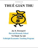 Bài giảng Thuế gián thu - Jay K. Rosengard