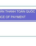 Bài giảng Cán cân thanh toán quốc tế: Phần 5 - ĐH Ngoại thương