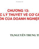 Bài giảng Chương 13: Các lý thuyết về cơ cấu vốn của doanh nghiệp - TS. Nguyễn Trung Trực