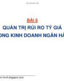 Bài giảng Quản trị rủi ro trong kinh doanh ngân hàng: Bài 5 - GS. TS. Nguyễn Văn Tiến