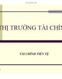 Bài giảng Tài chính tiền tệ: Chương 8 - Diệp Gia Luật