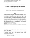 Technical efficiency of banks and the effects of risk factors on the bank efficiency in gulf cooperation council countries