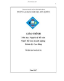 Giáo trình Nguyên lý kế toán (Nghề: Kế toán doanh nghiệp - Cao đẳng) - Trường CĐ Nghề Việt Đức Hà Tĩnh