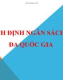 Bài giảng Hoạch định ngân sách vốn đa quốc gia