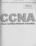 Giáo trình môn CCNA - TTĐT Quản trị mạng Athena