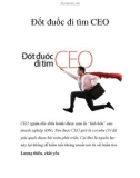 Đốt đuốc đi tìm CEO