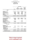 FLORIDA ANNUAL FINANCIAL AUDIT REPORT FISCAL YEAR ENDED SEPTEMBER 30, 2008_part2