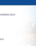 LINE OF BUSINESS 2013