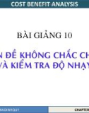 Phân tích lợi ích chi phí - Chương 10