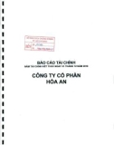 Báo cáo tài chính công ty cổ phần Hóa An_Năm tài chính kết thúc ngày 31 tháng 12 năm 2010