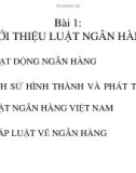 Bài 1: GIỚI THIỆU LUẬT NGÂN HÀNG