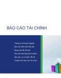 Báo cáo tài chính thường niên công ty cổ phần sữa Việt Nam Vinamilk năm 2007