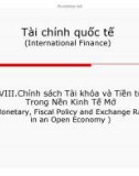 Bài giảng Tài chính quốc tế: Chương 8 - TS. Nguyễn Phúc Hiền