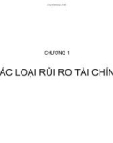 Bài giảng Các loại rủi ro tài chính