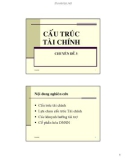 Chuyên đề: Cấu trúc tài chính