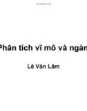 Bài giảng Phân tích vĩ mô và ngành - Lê Văn Lâm