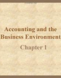 Accounting and theBusiness Environment