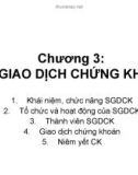 Bài giảng: Thị trường chứng khoán-Chương 3