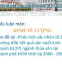 Tên đề tài: Phân tích các nhân tố ảnh hưởng đến kết quả sản xuất kinh doanh (GDP) ngành thủy sản tại thành phố HCM thời kỳ 2000 - 2009