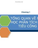 Phân tích chi tiêu công - Chương 1