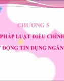 PHÁP LUẬT ĐIỀU CHỈNH HOẠT ĐỘNG TÍN DỤNG NGÂN HÀNG