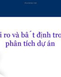 Bài giảng: Rủi ro và bất định trong phân tích dự án