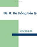 Bài giảng về Hệ thống tiền tệ