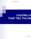 Chương IV - Thuế tiêu thụ đặc biệt - Nguyễn Thu Hằng